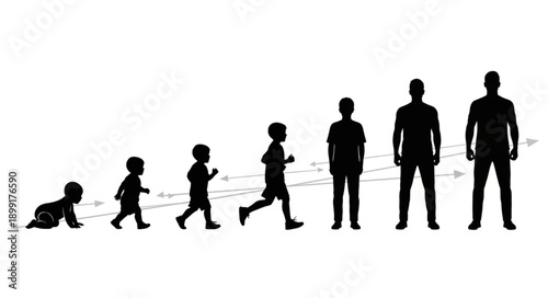 Human life cycle stages silhouette progression from baby to adult.