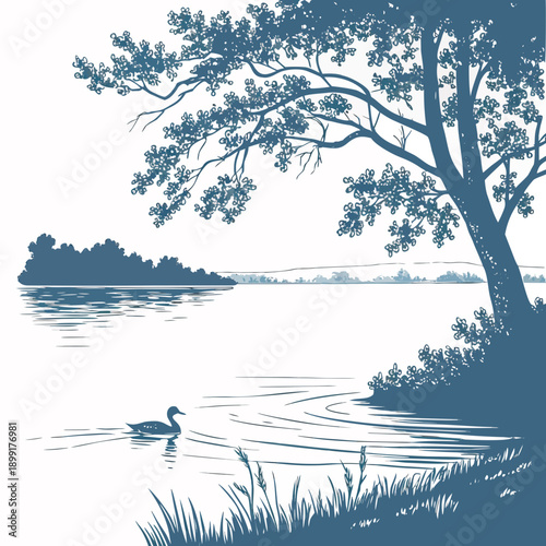 Bilde på lerret Serene lakeside scene with swan