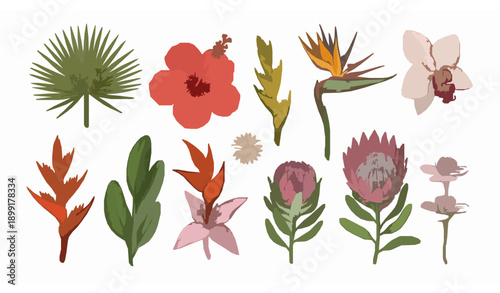 Vintage exotic flowers botanical vector set with colorful tropical floral illustrations