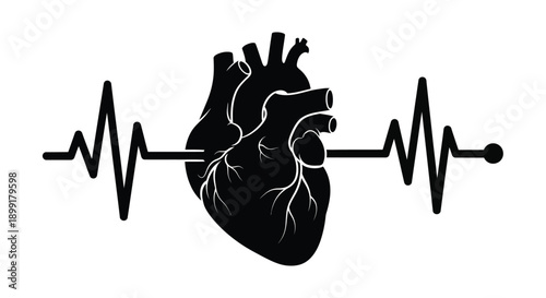 Anatomical heart illustration combined with an electrocardiogram heartbeat waveform