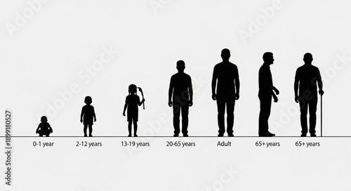 Human life stages silhouette progression from infancy to old age.