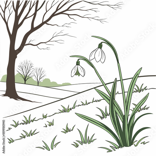 Spring flowers blooming near a tree