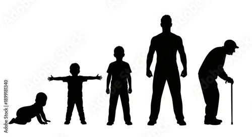 Human life stages silhouette from baby to elderly man.