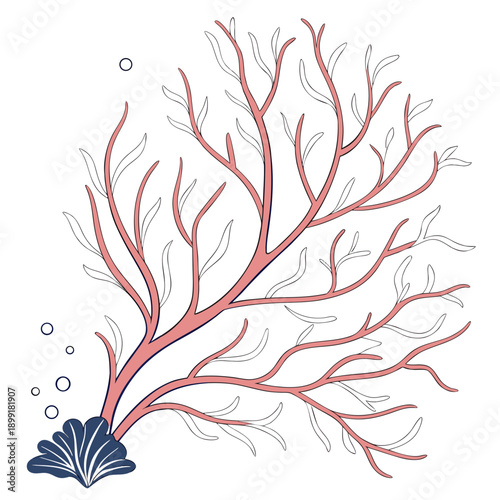 Underwater coral illustration