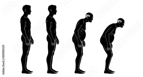 Human Posture Progression Silhouette Showing Slouching and Spinal Curvature.