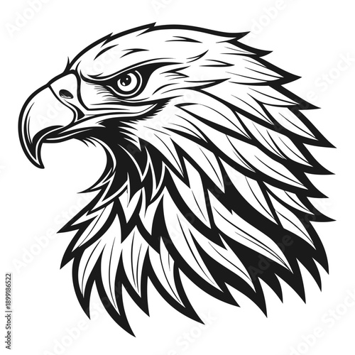 Eagle head illustration