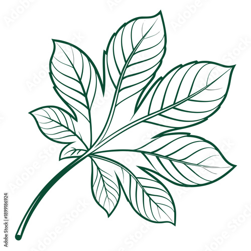 Green leaf illustration