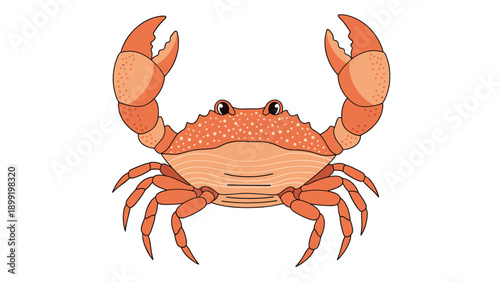 Detailed illustration of an orange crab with large claws isolated on white background for seafood restaurant or marine biology.