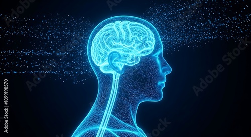Human head silhouette with hologram brain representing artificial intelligence, neuroscience and futuristic digital technology illustration
