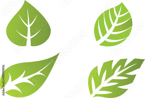 Four vibrant green leaves arranged on a clean white background illustration high quality