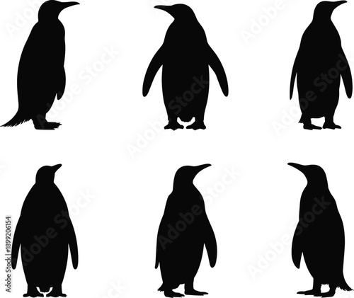 Black penguin bird silhouette icon set showing standing poses isolated on white background for wildlife nature antarctic animal design