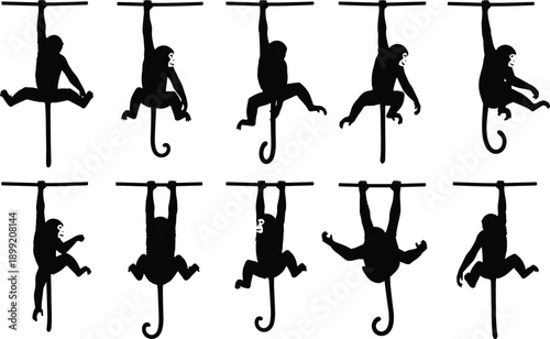 Monkey silhouette set isolated on white background, hanging primate poses and climbing actions collection for wildlife, jungle and design use