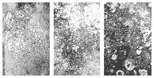 Three Black and White Grunge Textures Set Halftone Speckle and Distressed Overlay Vector Backgrounds