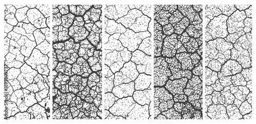 Cracked Earth Grunge Textures Set Vector Illustration Distress Overlay Collection Dry Soil Effect Backgrounds in Black and White