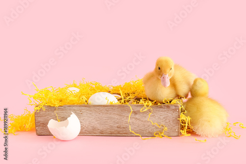 Wooden box with eggs and cu...
