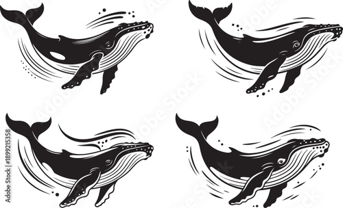 Set of four whale silhouettes, stylized sea creatures in various dynamic poses