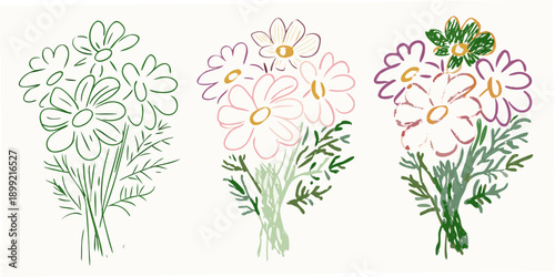 A charming illustration featuring three bouquets of hand drawn daisy like flowers