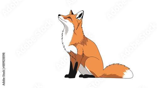 Elegant illustration of a red fox sitting calmly and looking up, depicted in a clean and simple cartoon or anime style, isolated on a white background.