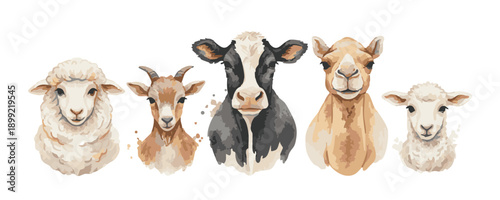 Watercolor Farm Animals Collection: Sheep Goat Cow Camel and Lamb Portraits on White Background.