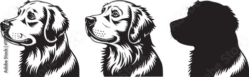 Golden retriever head profile set showing different shading styles from detailed line art to shadow