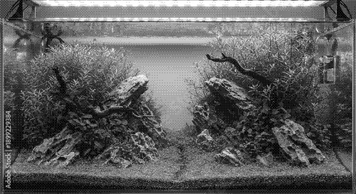 Serene indoor garden scene with lush plants and decorative rocks viewed from a straight-on perspective