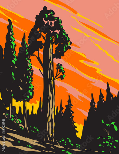 WPA poster art of General Grant Tree Trail in Kings Canyon National Park located in Sierra Nevada, California, USA done in works project administration.
