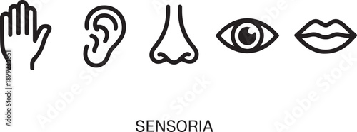 Five human senses icons with touch hear smell see taste