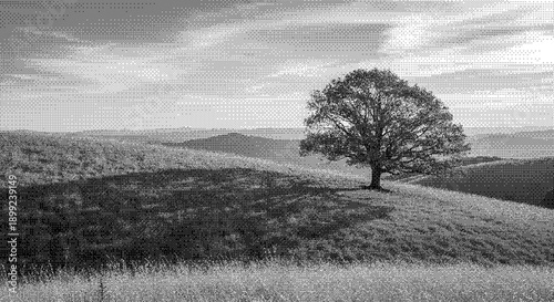 Solitary tree standing tall on a serene hillside landscape under a vast sky