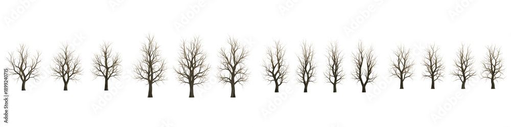 Fototapeta premium Collection of bare deciduous trees without leaves isolated on white background for architectural visualization
