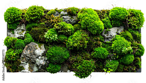 Wall art features a vibrant, textured display of green moss and scattered grey stones
