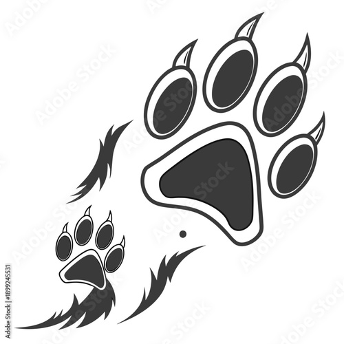 A detailed illustration of a bear's paw print with visible claw marks.