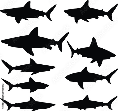 Assortment of Black Shark Silhouettes in Various Poses and Angles on a White Background marine life