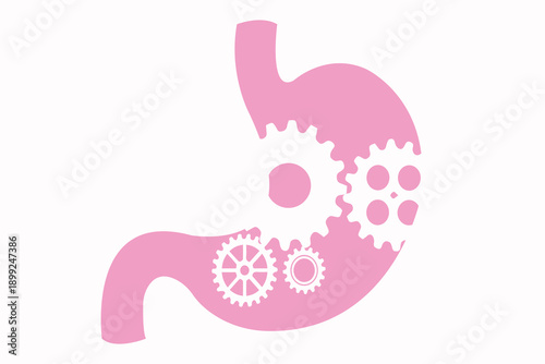 Abstract stomach illustration representing human digestion, medical concept, and biological function.