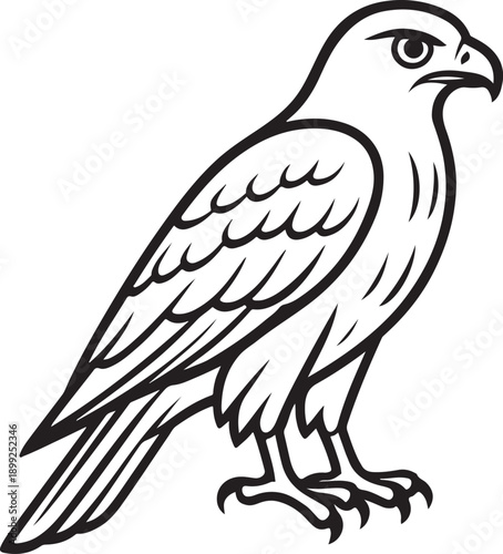 A detailed line drawing of a majestic hawk perched in a natural pose