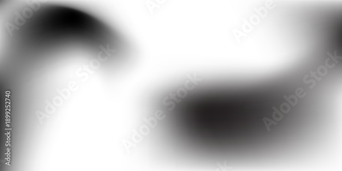 Black and white color for my cat. Tribute for my boy cats