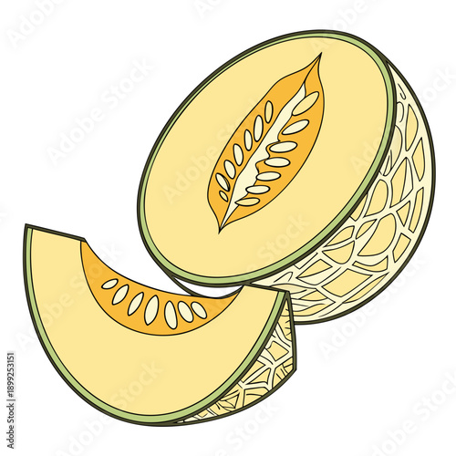 A beautifully illustrated image of a ripe cantaloupe melon cut in half.