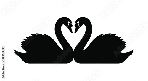 Two swans forming a heart shape a striking black silhouette