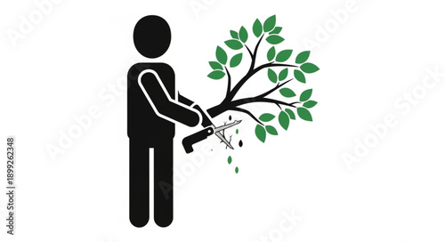 Person pruning a tree branch with scissors.