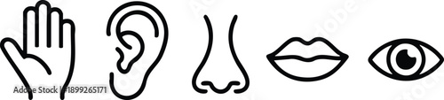 Minimalist Line Art Suite Representing Human Sensory Organs, Stylized Biological Interaction Vectors: Touch, Hearing, Smell, Taste, and Sight, vector, illustration, silhouette