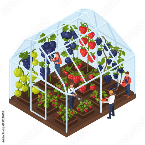 Greenhouse with Farmers and Fresh Fruits.