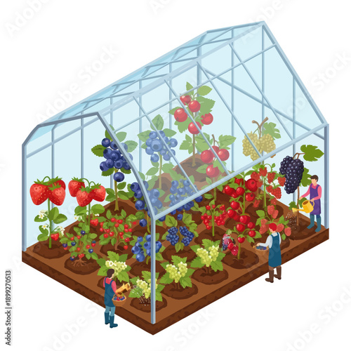 Greenhouse with Fruits and People Inside.