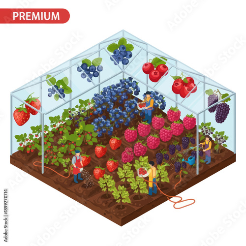 Isometric Greenhouse with Fruits and Farmers.