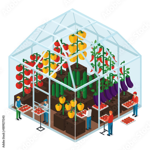 Greenhouse with People Growing Vegetables and Fruits.