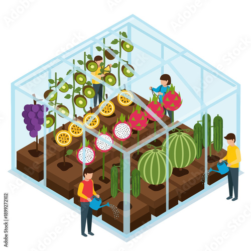 People Working in Greenhouse with Plants.