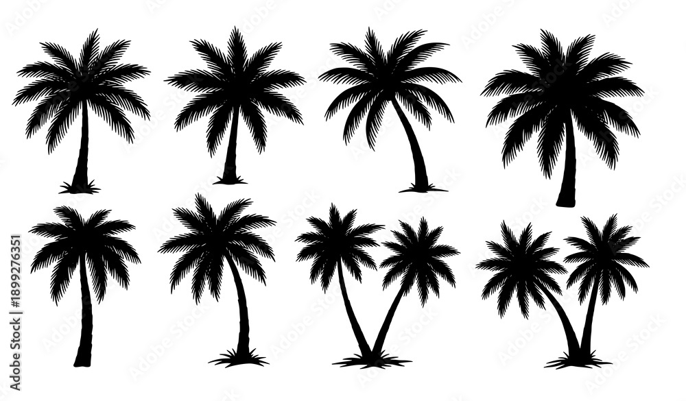 Obraz premium Tropical palm tree silhouettes hand sketched black vector set on white background