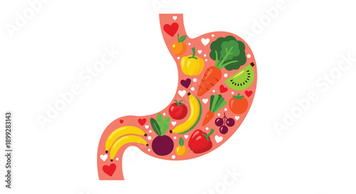 Educational illustration shows a human stomach filled with healthy fresh vegetables and fruits like broccoli, carrots, and apples.