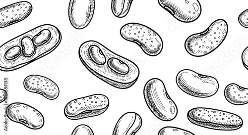 Action Illustrations of Various Bacteria in Graphic Style on White Background
