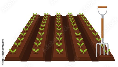 Illustration of a garden bed with young plants and a gardening fork.