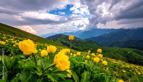 A vibrant meadow, blooming with yellow flowers, cascades down a verdant hillside, with mountains and cloudy skies in the backdrop