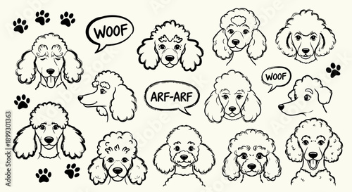 A collection of hand-drawn poodle faces and paw prints, some with speech bubbles saying 'WOOF' and 'ARF-ARF'.